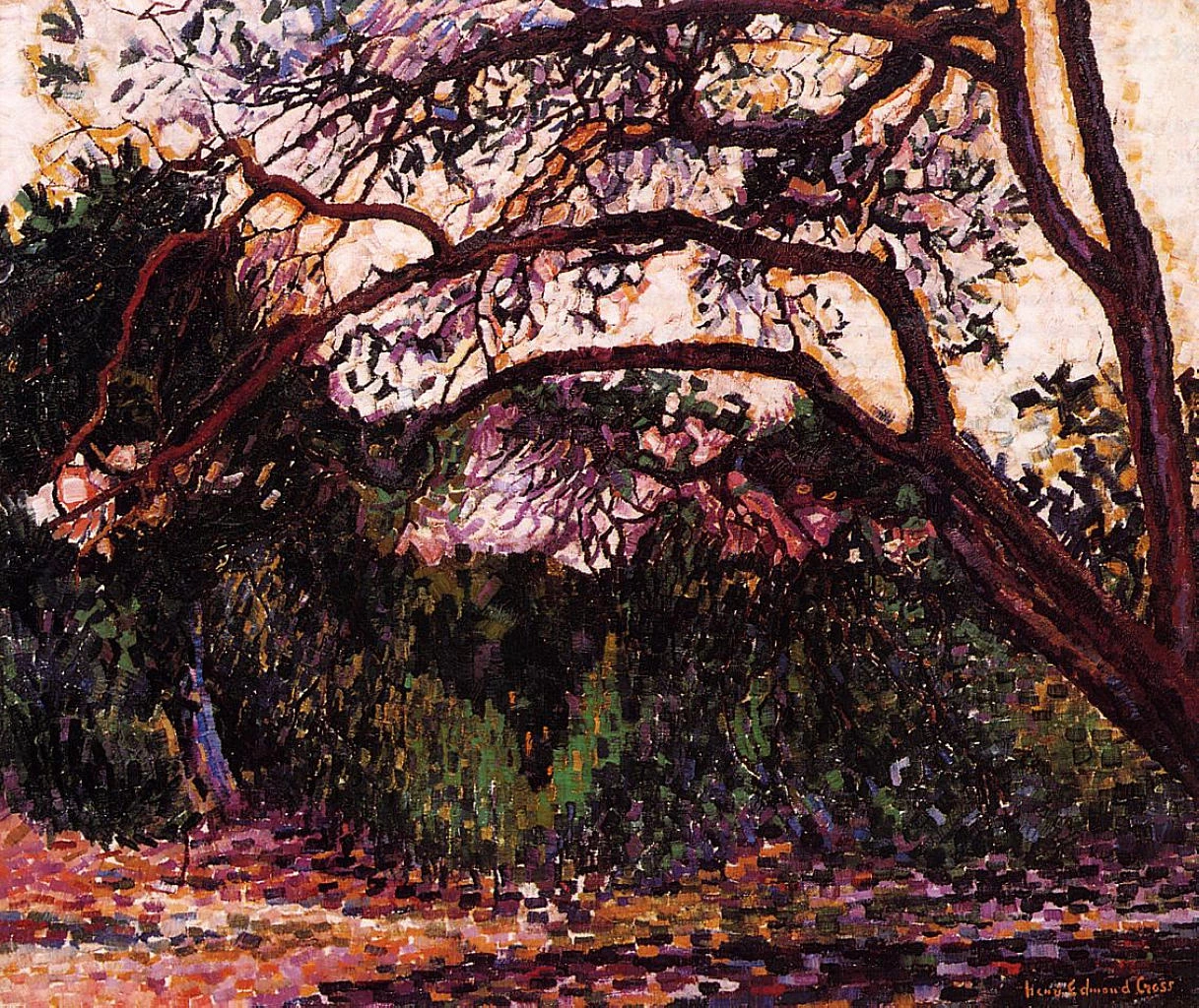 Paesaggio boscoso